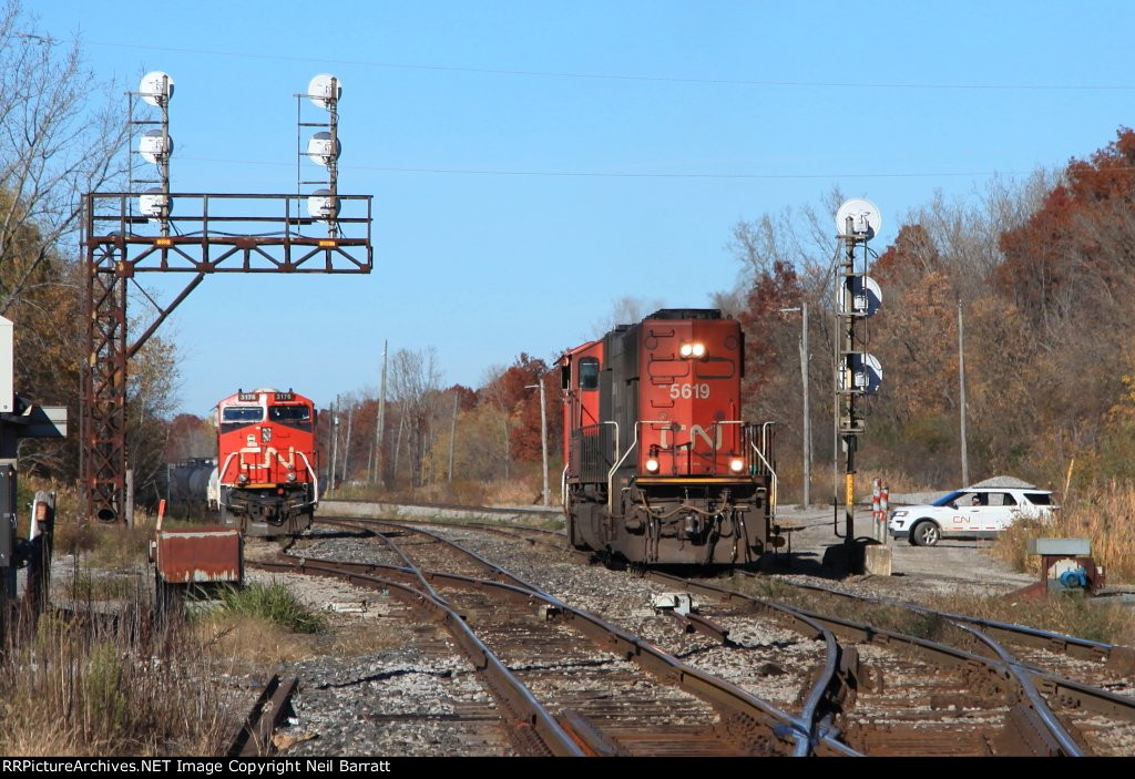 CN 5619